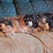 Profile Picture of Maxine Goodman (@goodman1366) on Pinterest