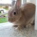 Profile Picture of Maria Haddock (@marifehaddock5) on Pinterest