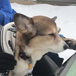 Profile Picture of Alex Biedermann (@holdingupthewall) on Instagram