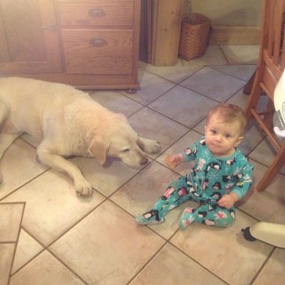 Profile Picture of Carol L. Petersen (@@carolpetersen75) on Twitter