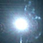 Profile Picture of jorge edwin calderon (@bullterrier0111) on Flickr