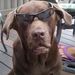 Profile Picture of Kerrie McGowan (@keckec) on Pinterest