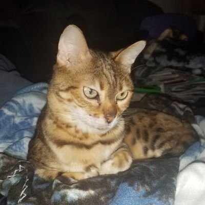 Profile Picture of Susan~WALL_out_H8 (@susansporran) on Twitter