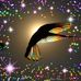 Profile Picture of Saju Philip (@saju.philip.7) on Facebook