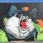 David Elsberry - Instagram Profile Picture of David Elsberry (@tucson.wildcat) on Instagram