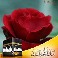Profile Picture of Muhammad Naeem (@naeembashir465) on Pinterest