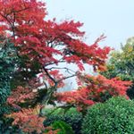 Profile Picture of Nick Graber (@njg153) on Instagram