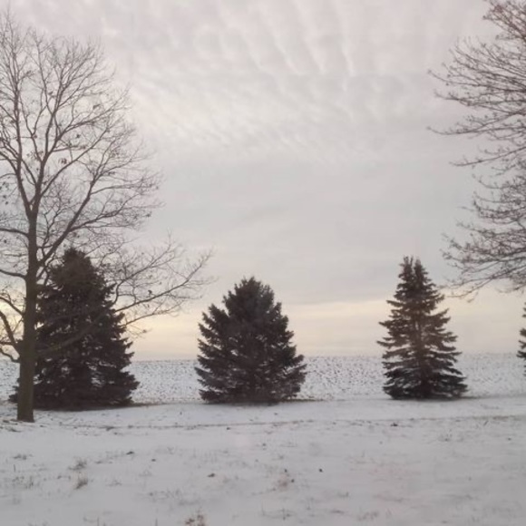 Profile Picture of Mau Ubeda (@ubedamau367) on Poshmark