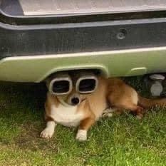 Profile Picture of chloe (@chloengn__) on Tiktok