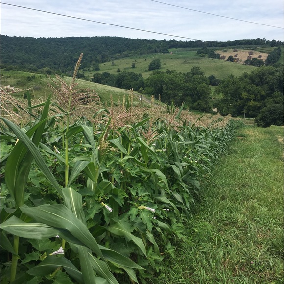 Profile Picture of Norka Sejas (@sejas) on Poshmark