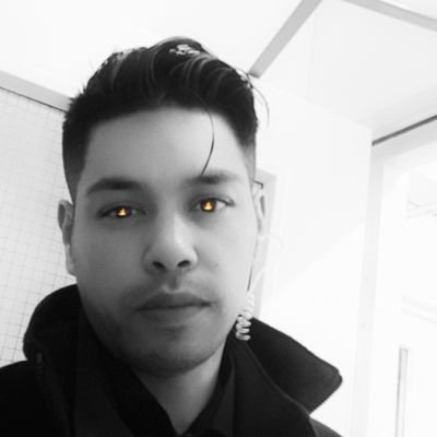 Profile Picture of StevieCoelho☆ (@Bert_Buni) on Twitter