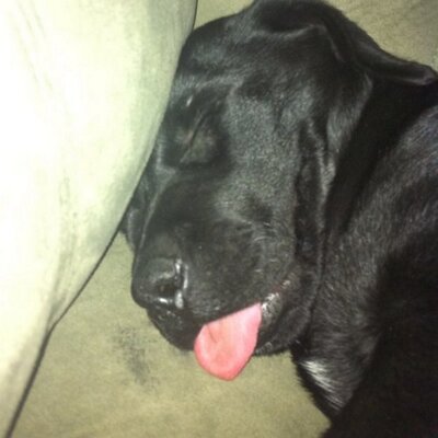 Profile Picture of Sean Wilkins (@Dee7793) on Twitter