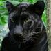 Profile Picture of Dennis Ehring (@dennis.ehring.31) on Facebook