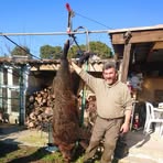 Profile Picture of David Lauricella (@david.lauricella.79) on Facebook