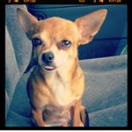 Profile Picture of Kevin Larranaga (@kevin_crispie) on Instagram