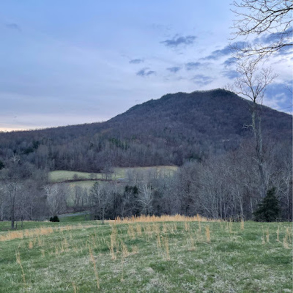 Chelsea Vassar-jones - Poshmark Profile Picture of Chelsea Vassar-jones (@chelseavassa956) on Poshmark