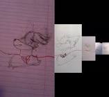 Profile Picture of   Potato.chip (@cat.berry)... (@cat.berry) on Tiktok