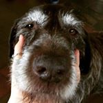 Profile Picture of Michael Finnigan (@michaelfinnigan_) on Instagram