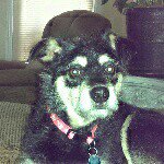 Profile Picture of William Dunham (@dunhamw) on Instagram