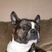 Profile Picture of Paul Glidden (@paul.glidden.14) on Facebook