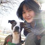 Alice Chien - Instagram Profile Picture of Alice Chien (@alicecingroomingland) on Instagram