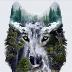 Profile Picture of Nesol Arrieta (@Nesol-Arrieta) on Facebook