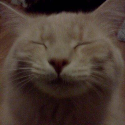 Profile Picture of Joseph Ray Mingus (@josephraymingus) on Twitter