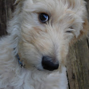 Profile Picture of Mason Wilson (@masonwilson5975) on Youtube