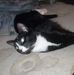 Profile Picture of Paul Mclain (@paul.mclain.351) on Facebook