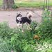 Profile Picture of richard blocker (@richardblocker72) on Pinterest