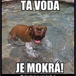 Profile Picture of david_jilek (@david_jilek) on Instagram