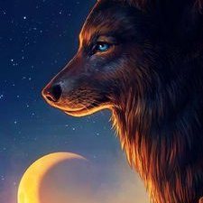 Profile Picture of Kevin Rodi (@kjddboy) on Twitter