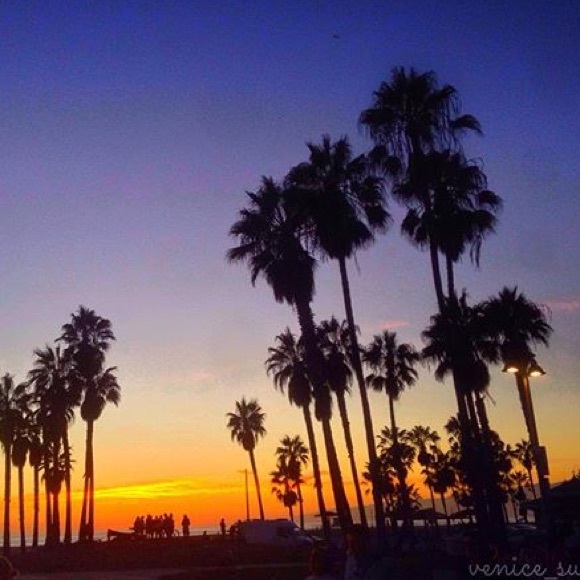 Profile Picture of Dani Lalley (@dani_260) on Poshmark