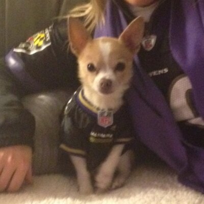 Profile Picture of Jim Gillis (@GordonMosby) on Twitter