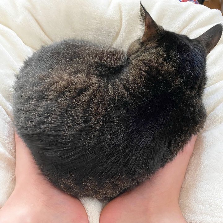 Profile Picture of Damian.Kelly (@jaciniwdn88) on Tiktok