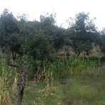 Profile Picture of Elena Tiznado Ozuna (@Elena-Tiznado-Ozuna) on Facebook