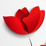 Profile Picture of #juliatranquility (@julia_tranquility) on Instagram