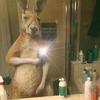 Profile Picture of Bobby Kelly (@@bkelly_iv) on Tiktok