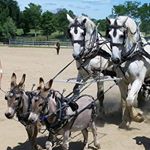 Lucas Garza - Instagram Profile Picture of Lucas Garza (@silverio_garza) on Instagram