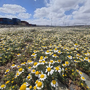 Profile Picture of Yousef Ahmadi (@yousefahmadi69) on Youtube