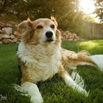 Profile Picture of Larry Cook (@cookie666lc) on Instagram