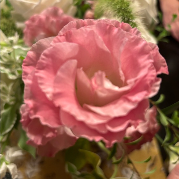 Punky’s home Punky - Poshmark Profile Picture of Punky’s home Punky (@pgeaslen1) on Poshmark