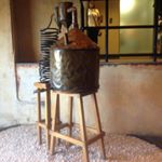 Profile Picture of Robert Gilligan (@frogs_in_trees) on Instagram