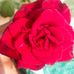 Profile Picture of Sarvi Jyothi (@sarvi.jyothi) on Facebook