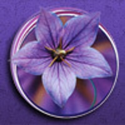 Profile Picture of Alicia Bryant-Mayes (@@Body_Soul_Salon) on Twitter