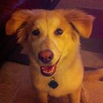 Profile Picture of Kevin Thomas McMurtry (@k_tom_mac) on Instagram