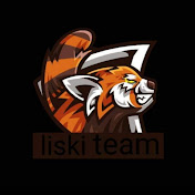 Profile Picture of Liski Team (@liskiteam) on Youtube