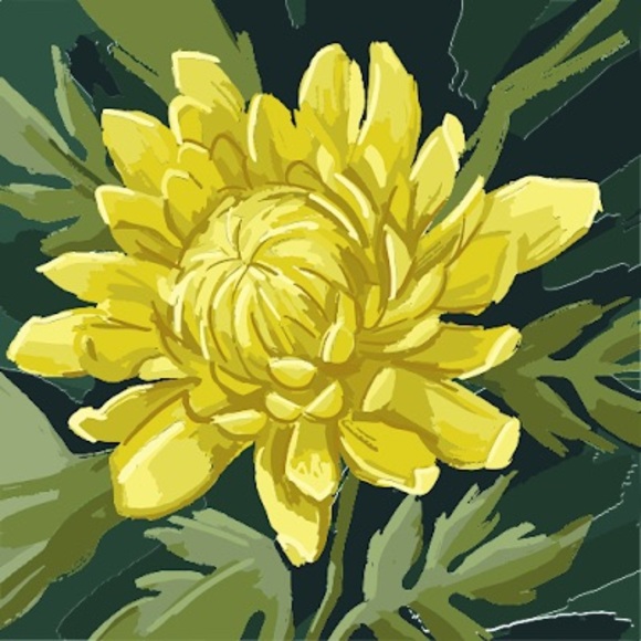 Profile Picture of Yolanda Greenup (@yolandagreenup) on Poshmark