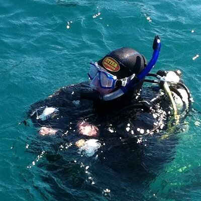 Profile Picture of David Ansell (@stumpy6566) on Twitter