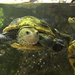 Profile Picture of Dylan Burris (@dylan.burris.33) on Instagram